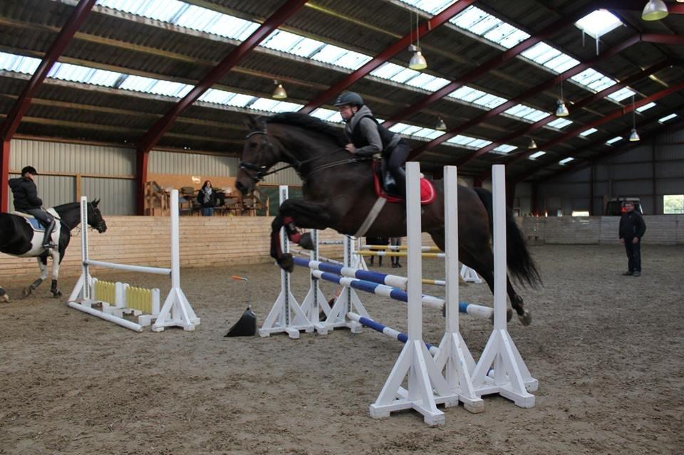 Anden særlig race Sputnik (Sprutte) - tripelbar 95-100cm billede 8