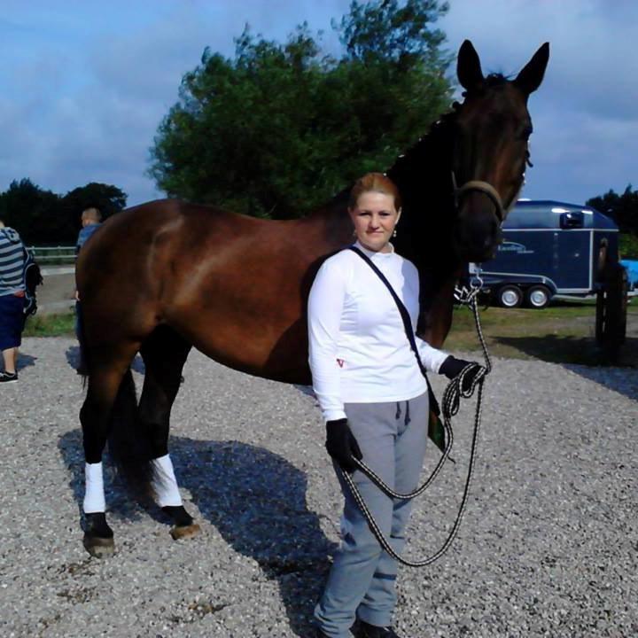 Dansk Varmblod Romulus Ask - Klubmesterskab på Istebjerg 2013 :-) billede 13