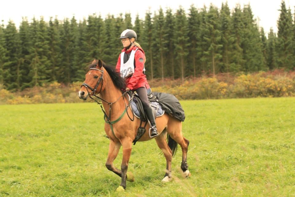DSP Jokeren "Jokke" - vi red 21 km. til feldborgridtet med en gennemsnits fart på 9.22 km i timen. billede 19