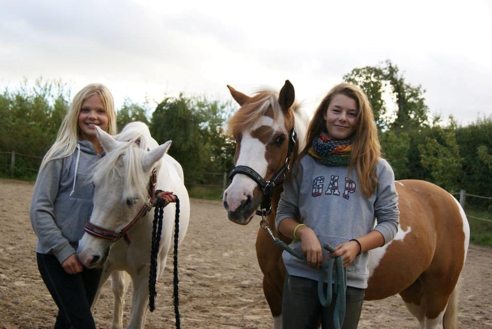 Anden særlig race Duchess (Solgt og mega savnet) <3 - De bedste! <3 billede 14