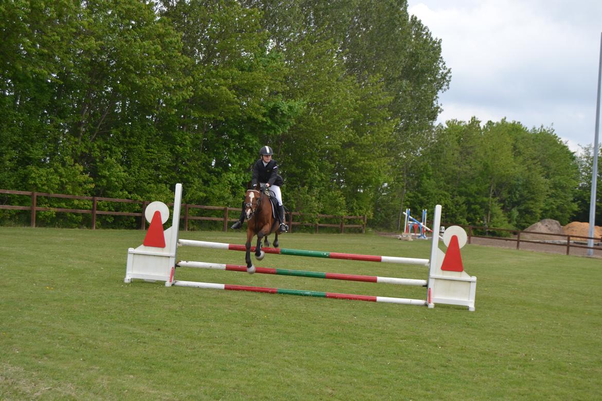 DSP Passion *palle* (skadet) - Klubmester<3 billede 21