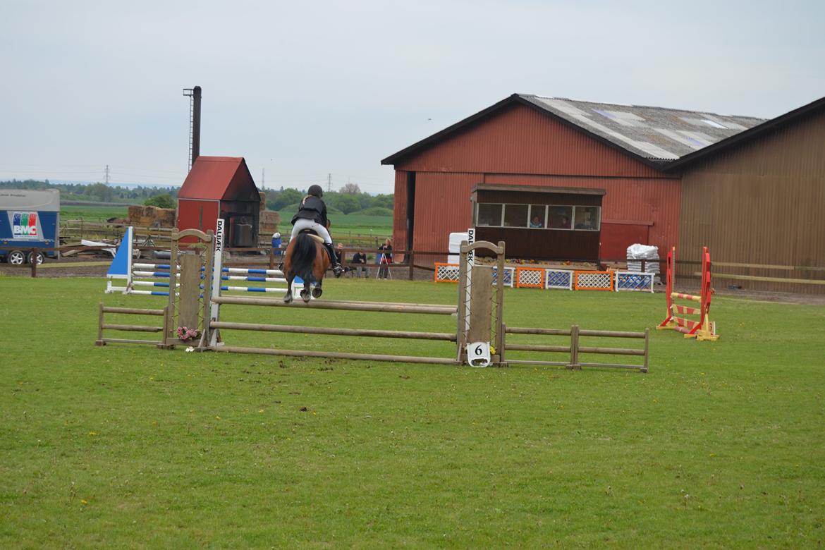 DSP Passion *palle* (skadet) - første LC<3 billede 22