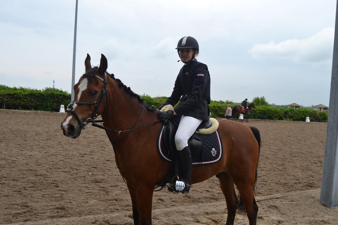 DSP Passion *palle* (skadet) - Elsker den pony så ufattelig meget!!!<3  billede 23