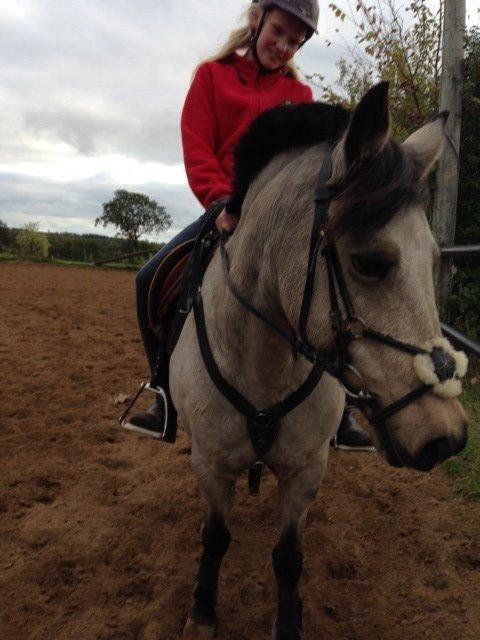 Connemara Kikki<3 billede 7