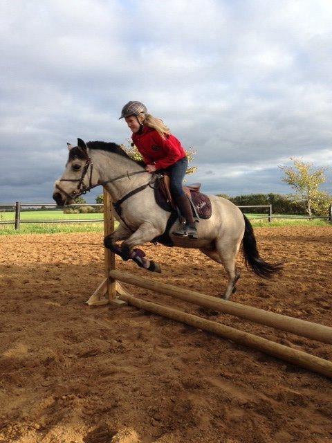 Connemara Kikki<3 billede 2