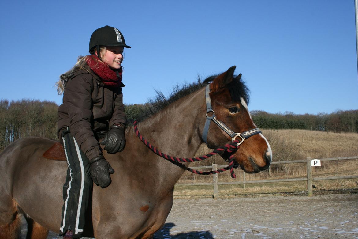 Anden særlig race Miranda *Lånepony* - Du lyser som tusinde stjerner på en gang! <3 billede 18