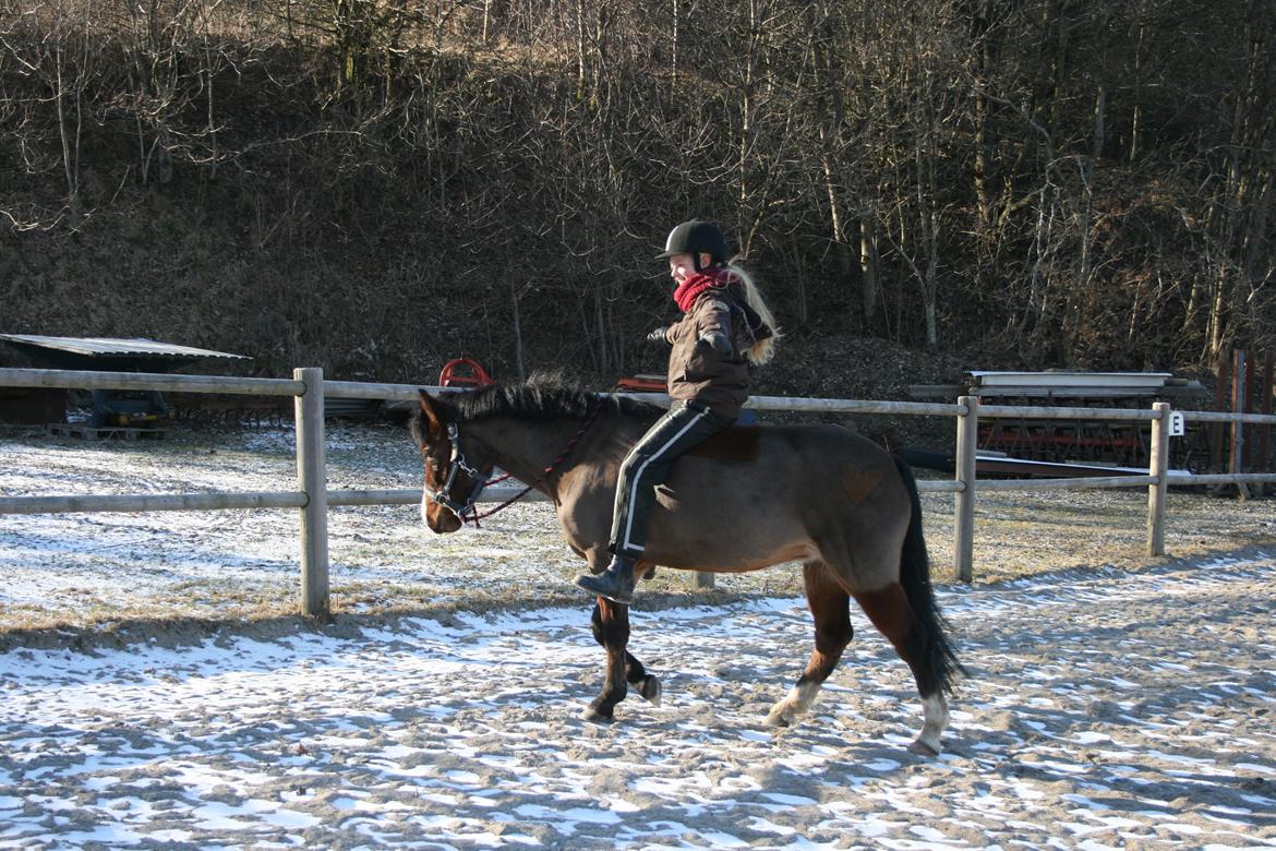 Anden særlig race Miranda *Lånepony* - Trust makes it all! <3 billede 19