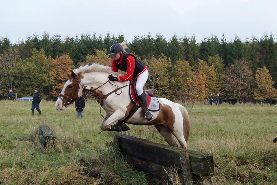Anden særlig race Åbo 's sweet <3 billede 13
