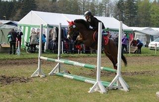 Anden særlig race Miranda *Lånepony* - Morsø 2013! <3
Min Miranda <3 billede 12