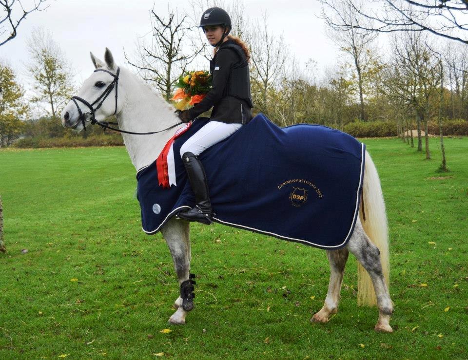 Connemara Pilgaards Nicola - Connemara Pilgaards Nicolá - vinder af 4 års DSP Avls Championat 2013 <3 billede 1