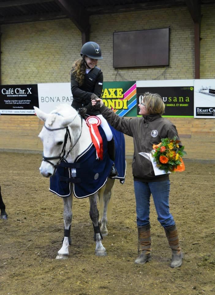 Connemara Pilgaards Nicola - Præmie overrækkelse DSP 4 års Championat 2013 billede 3