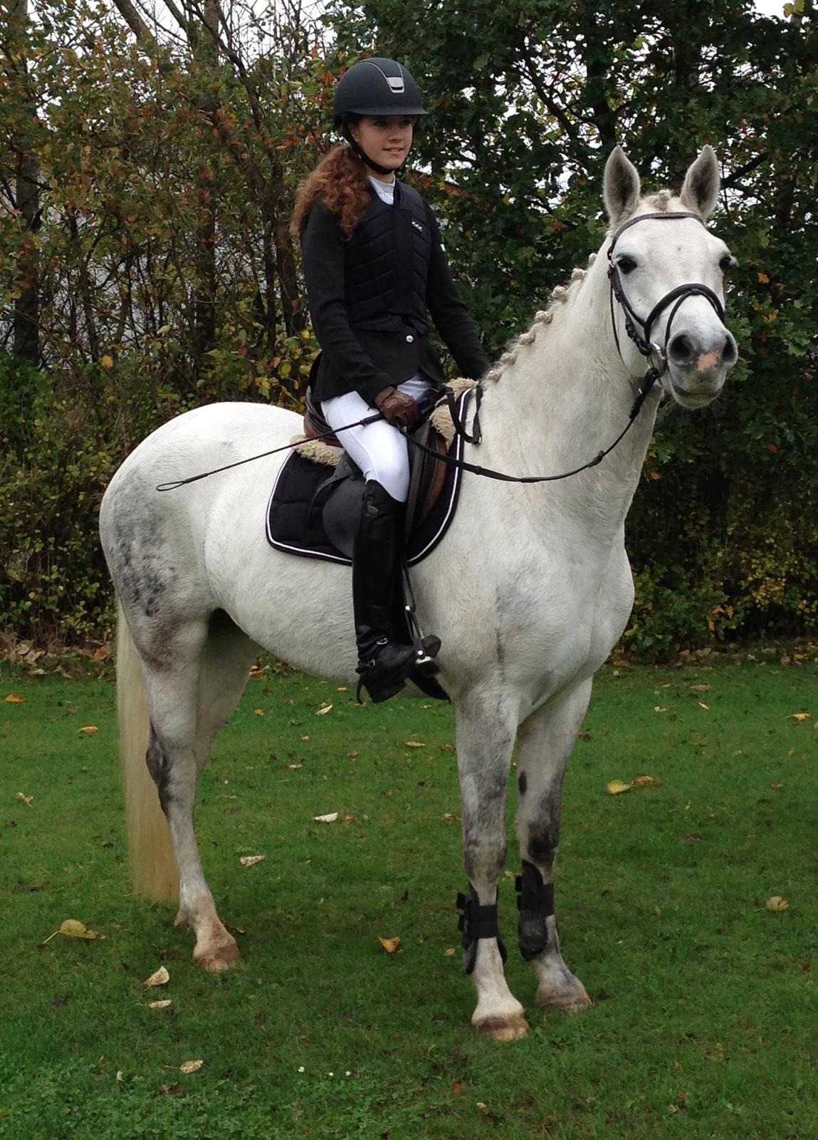 Connemara Pilgaards Nicola billede 7