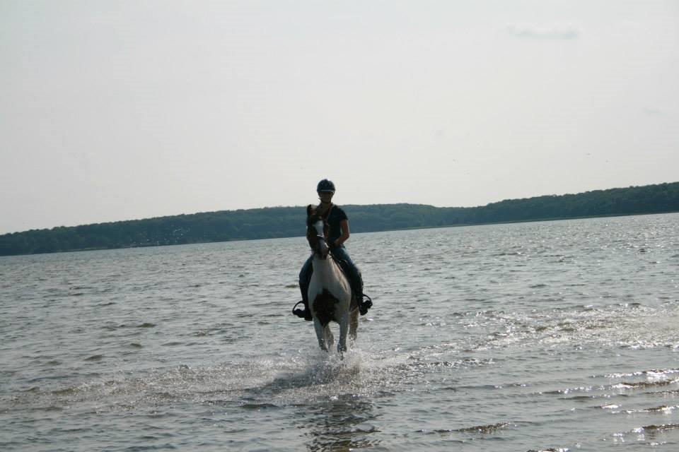 Irsk Sportspony Coney Patch - Velkommen til Coney profil. smid en bedømmelse og kommentar, så bliver vi glade:)

Ved stranden <3
 billede 1