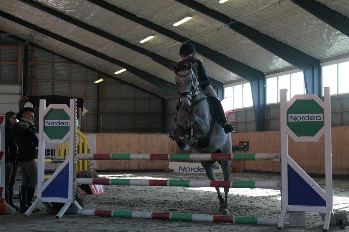 DSP TT Calle Carla billede 8