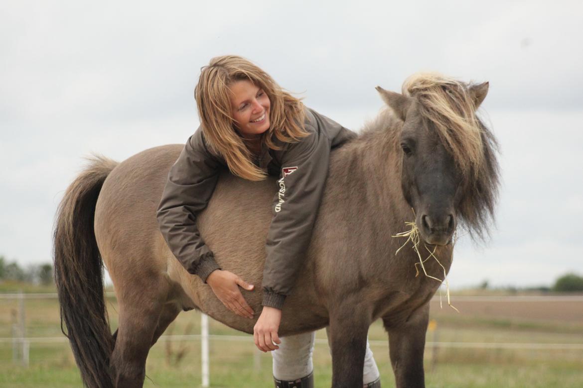 Konik Polski Sergei Boris - September 2013, min lille polske ven billede 3