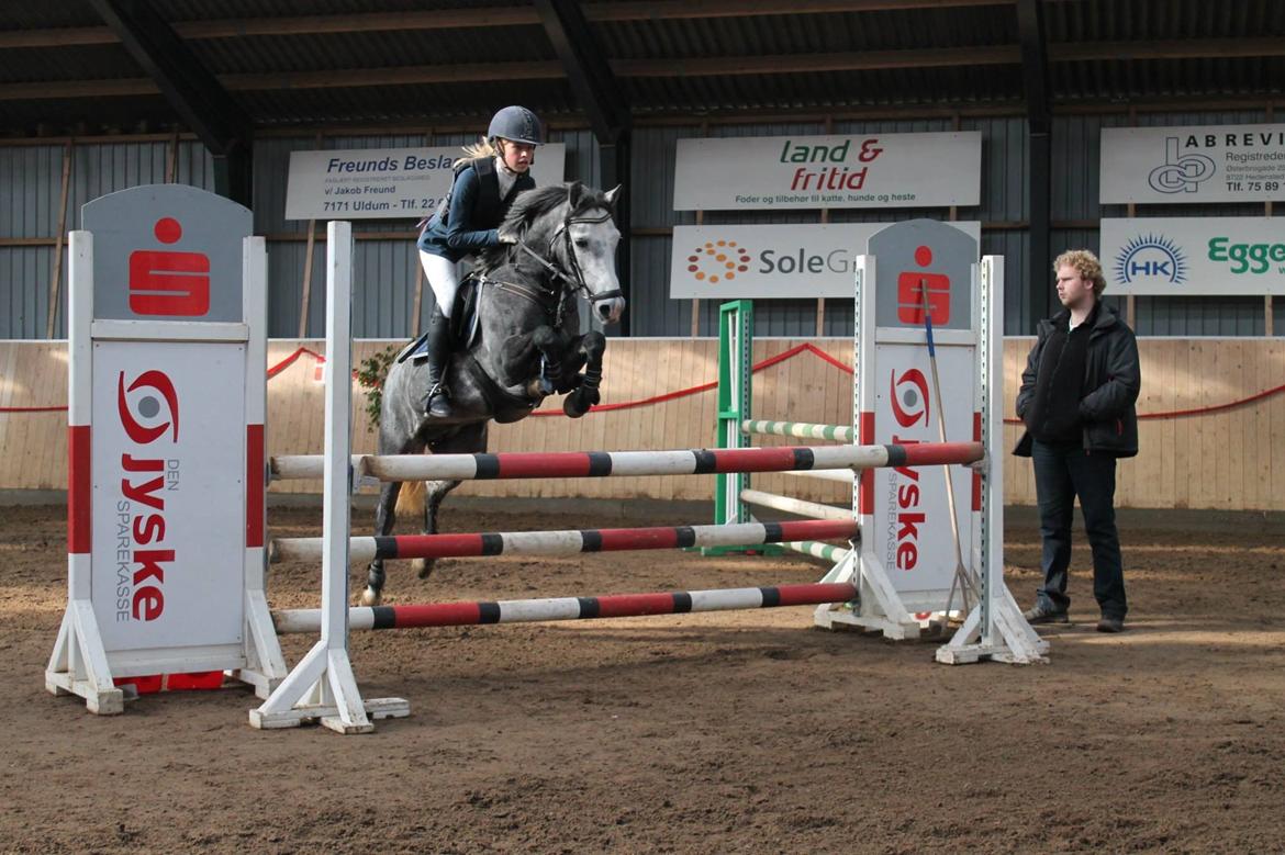 Anden særlig race Jojo (solgt) billede 1