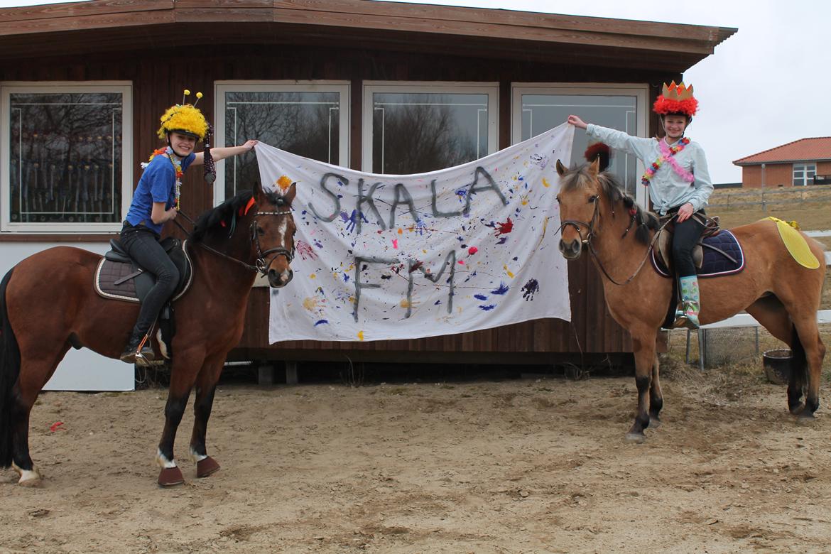 Tysk Sportspony Prop (Premiat) - En konkurrence mig og min veninde ville vinde haha :D billede 14