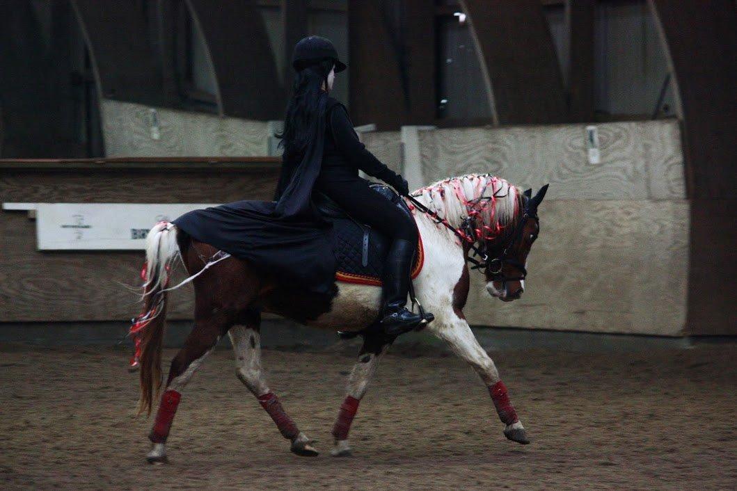 Pinto Blade - 2/11-2013 <3 Halloween stævne, LØSR 3.plads <3 billede 44