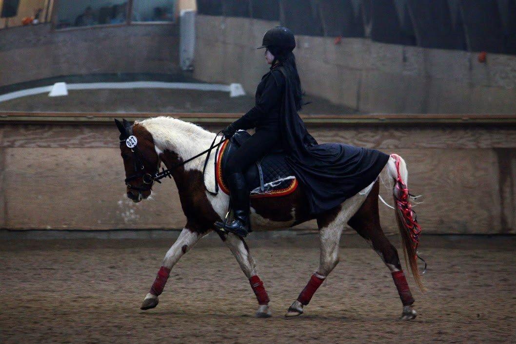 Pinto Blade - 2/11-2013 <3 Halloween stævne, LØSR 3.plads <3 billede 43