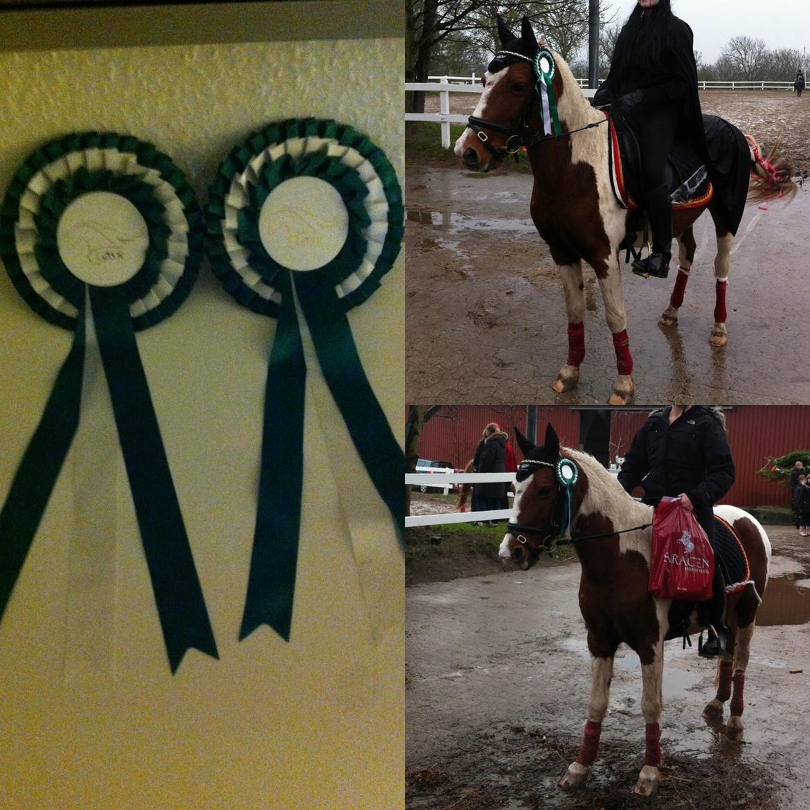 Pinto Blade - 2/11-2013 <3 Halloween stævne, LØSR 3.plads <3 billede 45