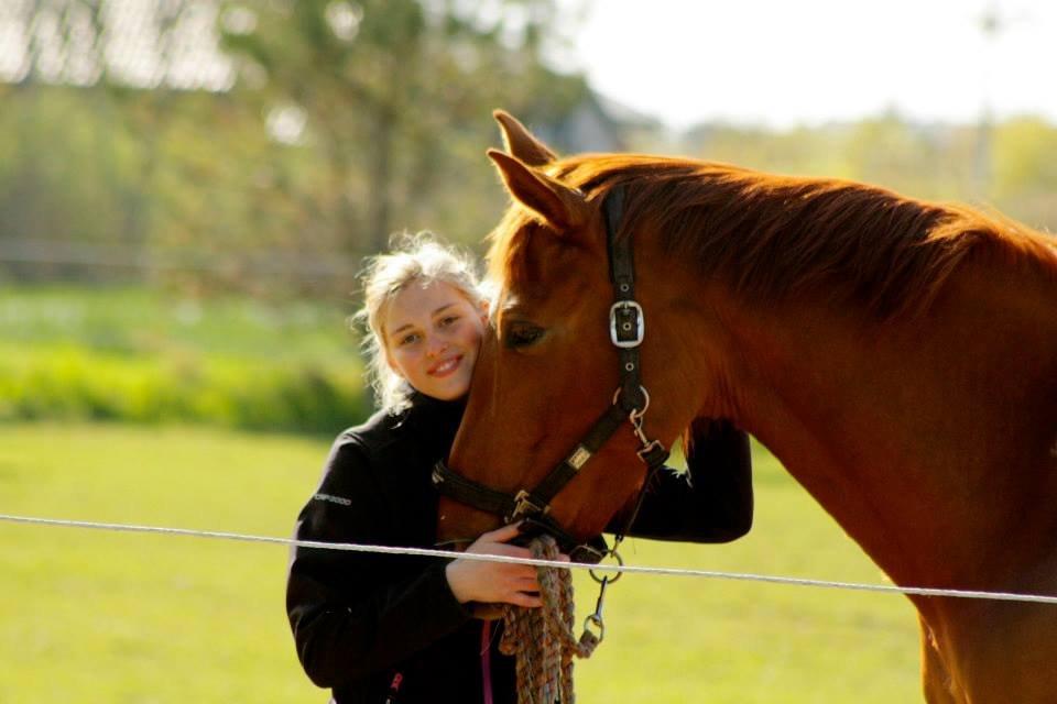 Hannoveraner Pippi Langstrømpe billede 14
