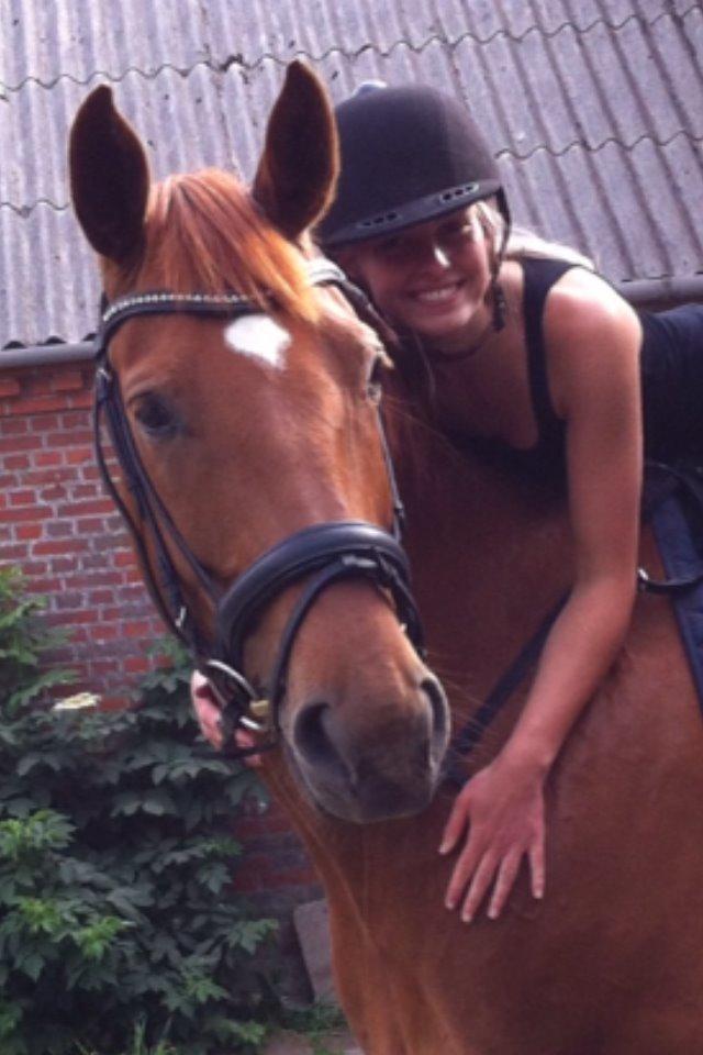 Hannoveraner Pippi Langstrømpe billede 16