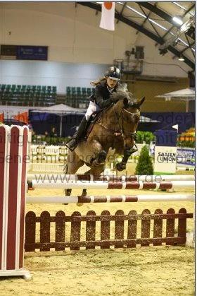 Irsk Sportspony Copper Caramel - Internationalt stævne i Tyskland, udtaget af landstræneren.
115 cm alle dage. Fedeste oplevelse :) billede 2