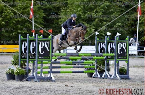 Irsk Sportspony Copper Caramel - 1. afd. af DM 2013 - MA**, 0 fejl og 8. plads
1. DM nogensinde, og nåede helt til finalen, selvom det ikke engang var mening vi skulle starte det :)
Verdens bedste pony <3
Foto: Ridehesten billede 14