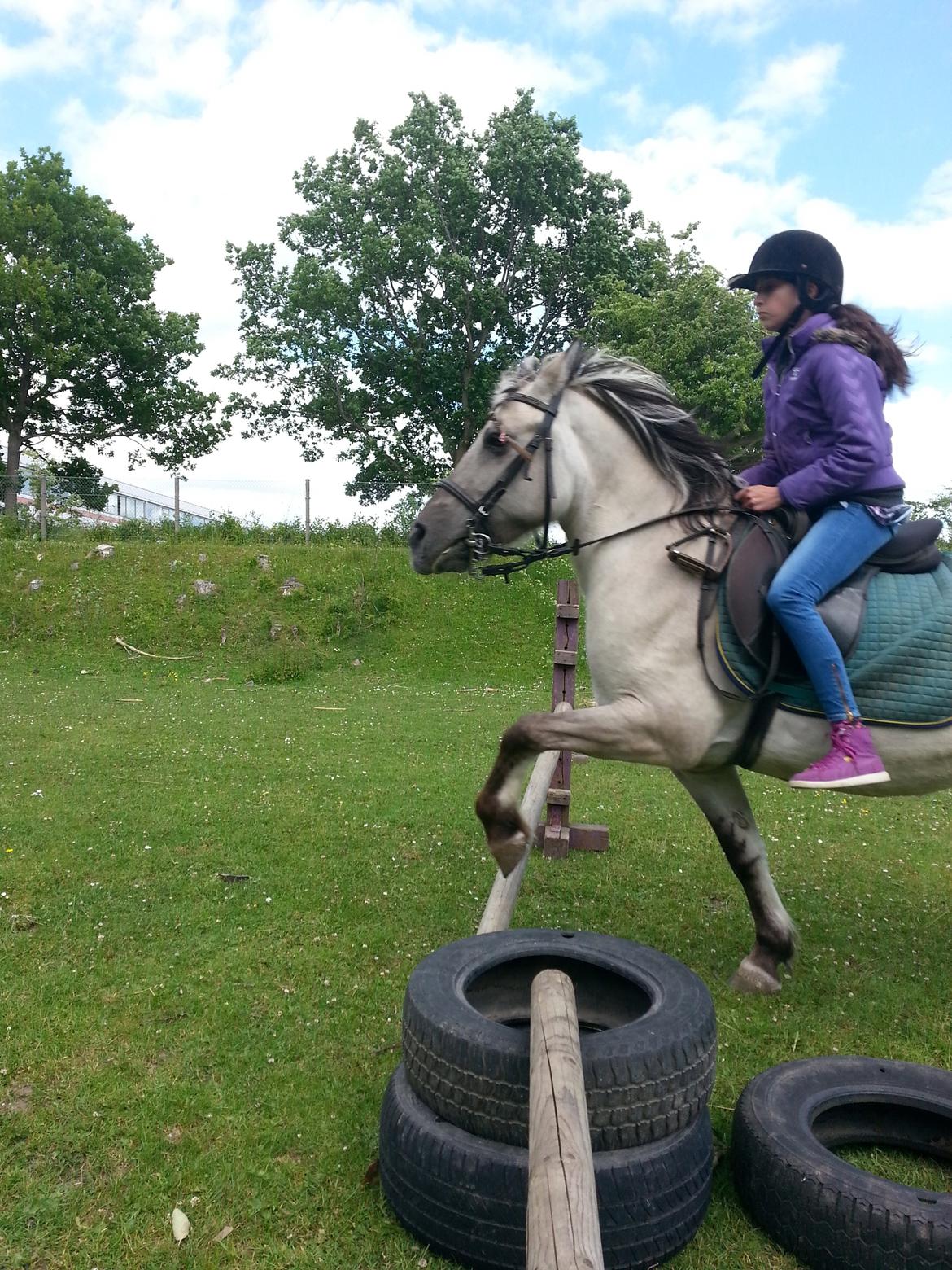 Anden særlig race Luna (har redet) billede 2