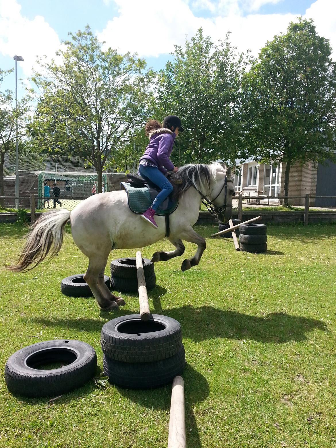 Anden særlig race Luna (har redet) billede 3