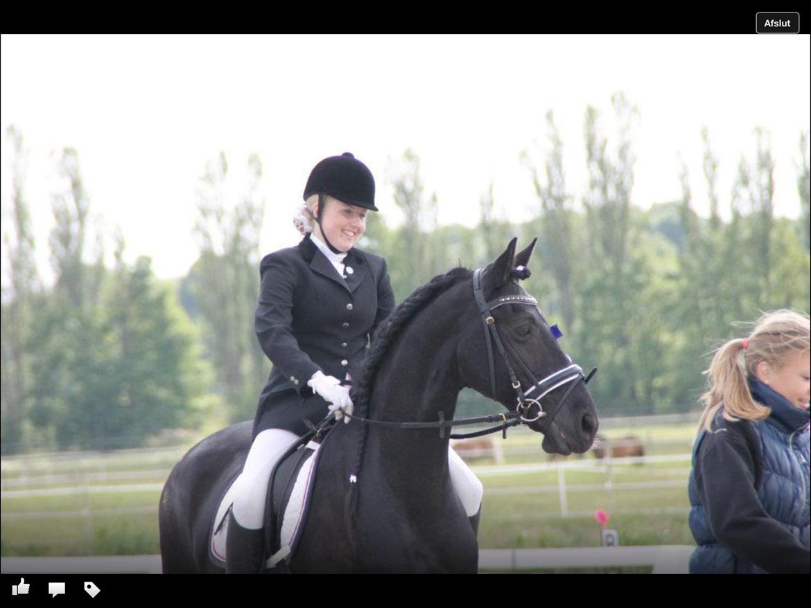 Frieser Willemientje Von De billede 20