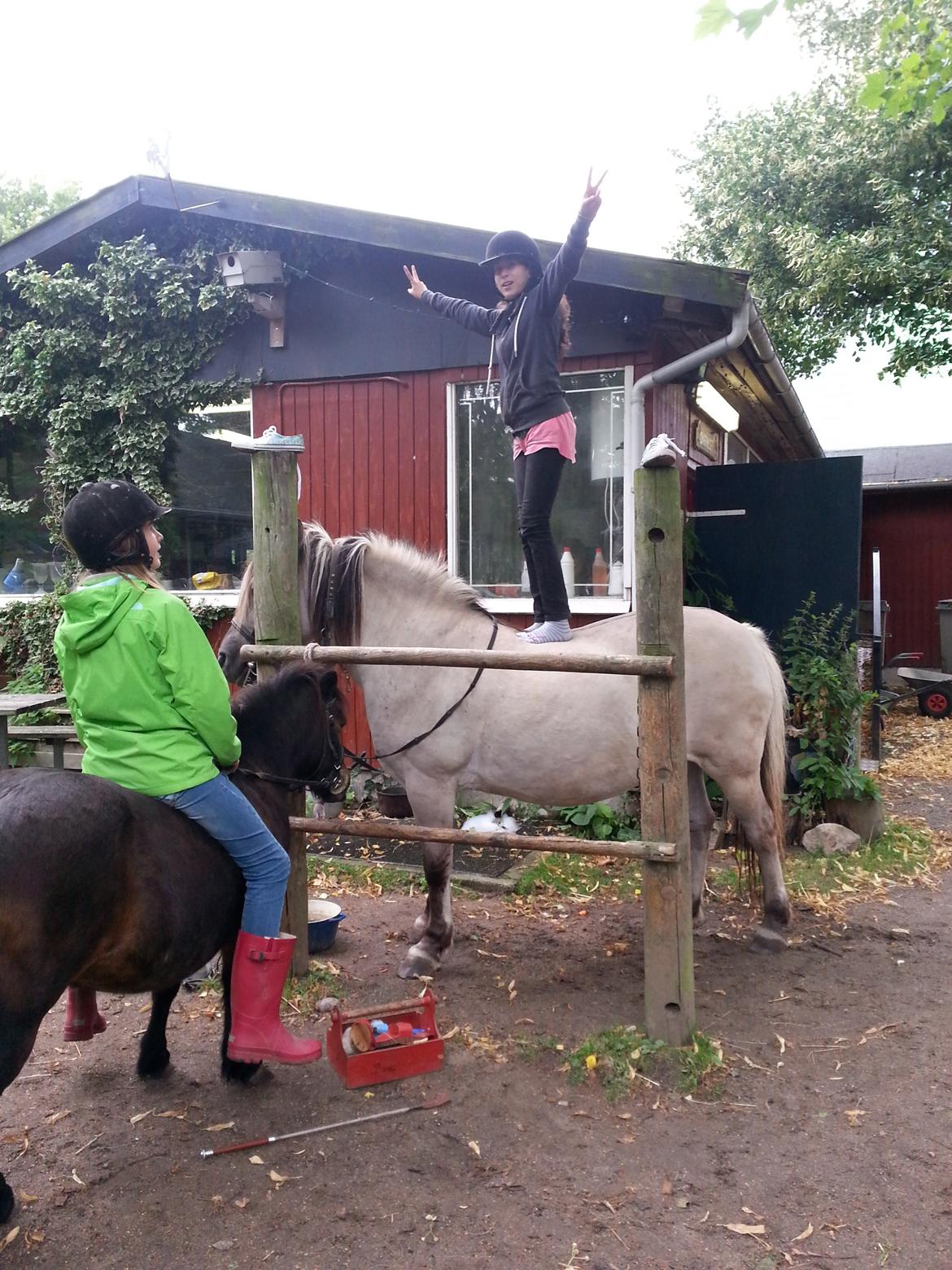 Anden særlig race Luna (har redet) billede 11