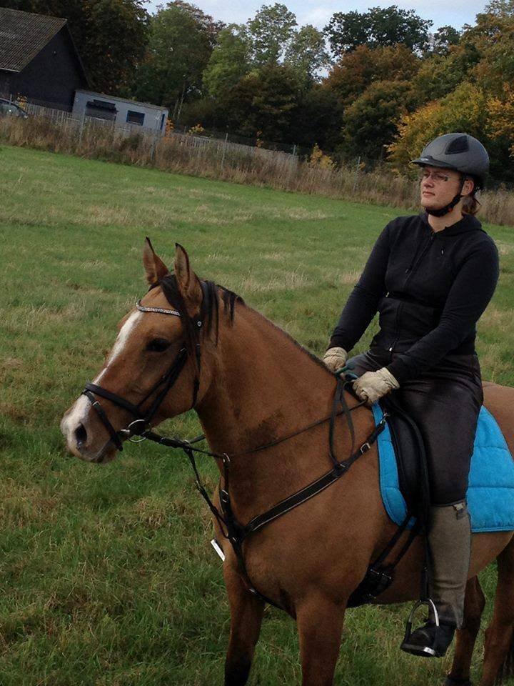 Anden særlig race Marinca R:I:P - Dejlig dag i Hindsgavl den 13/10-2013  billede 1