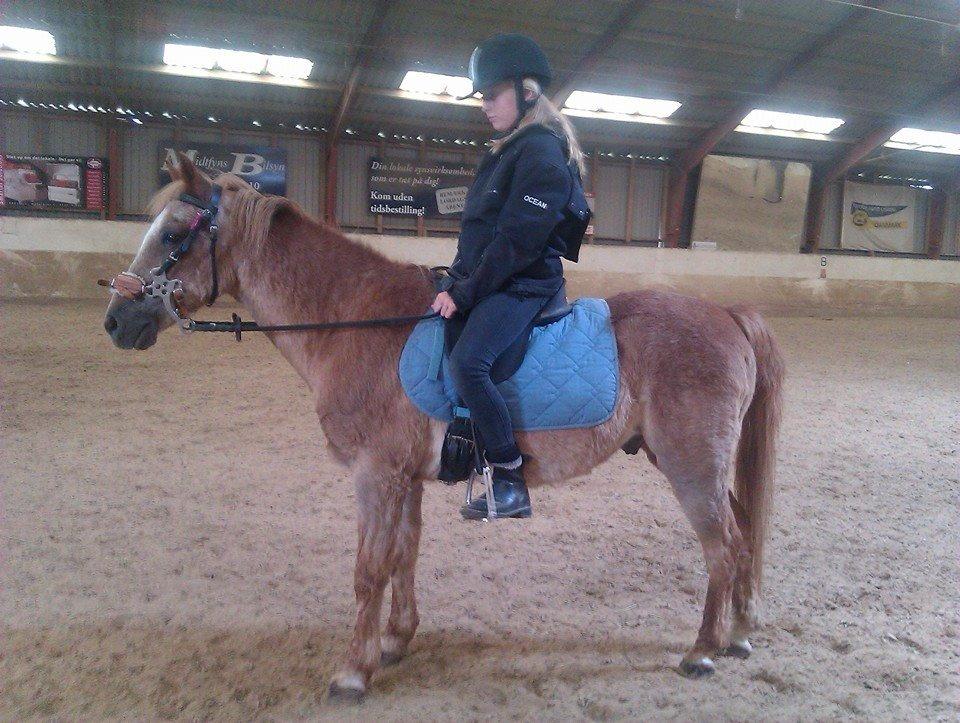 Anden særlig race Trixtan <3 ( på de evige græs-marker <3) billede 18