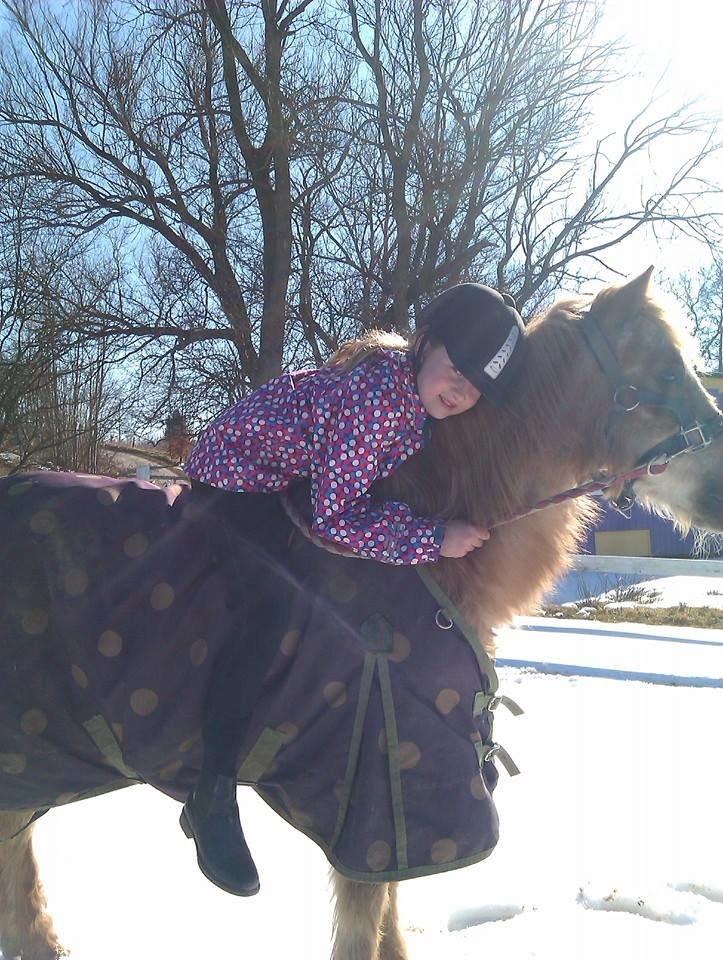 Anden særlig race Trixtan <3 ( på de evige græs-marker <3) billede 19