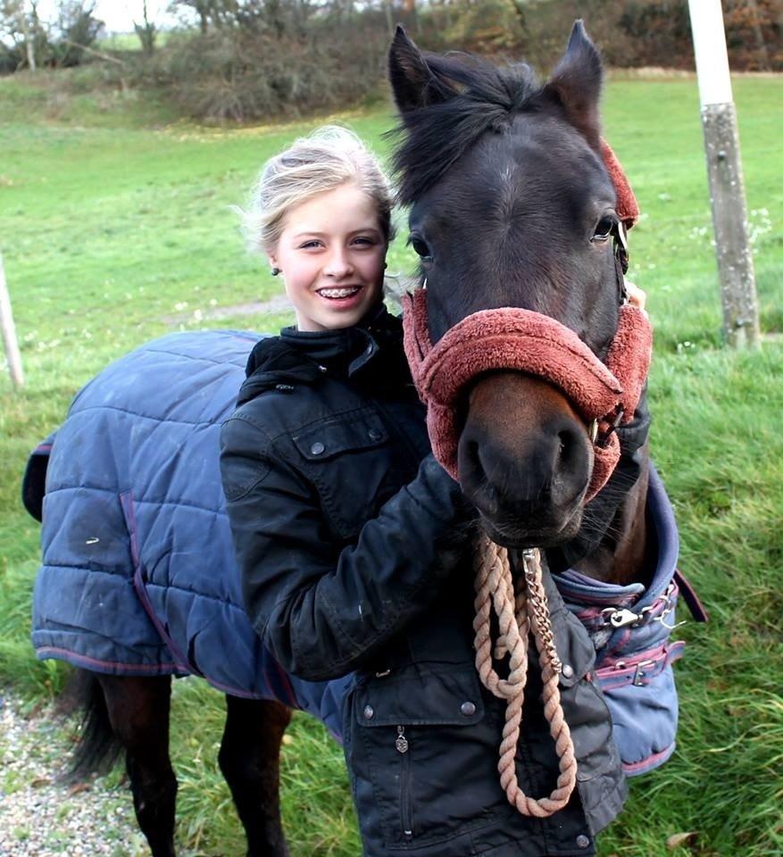 Anden særlig race Luna Star billede 13