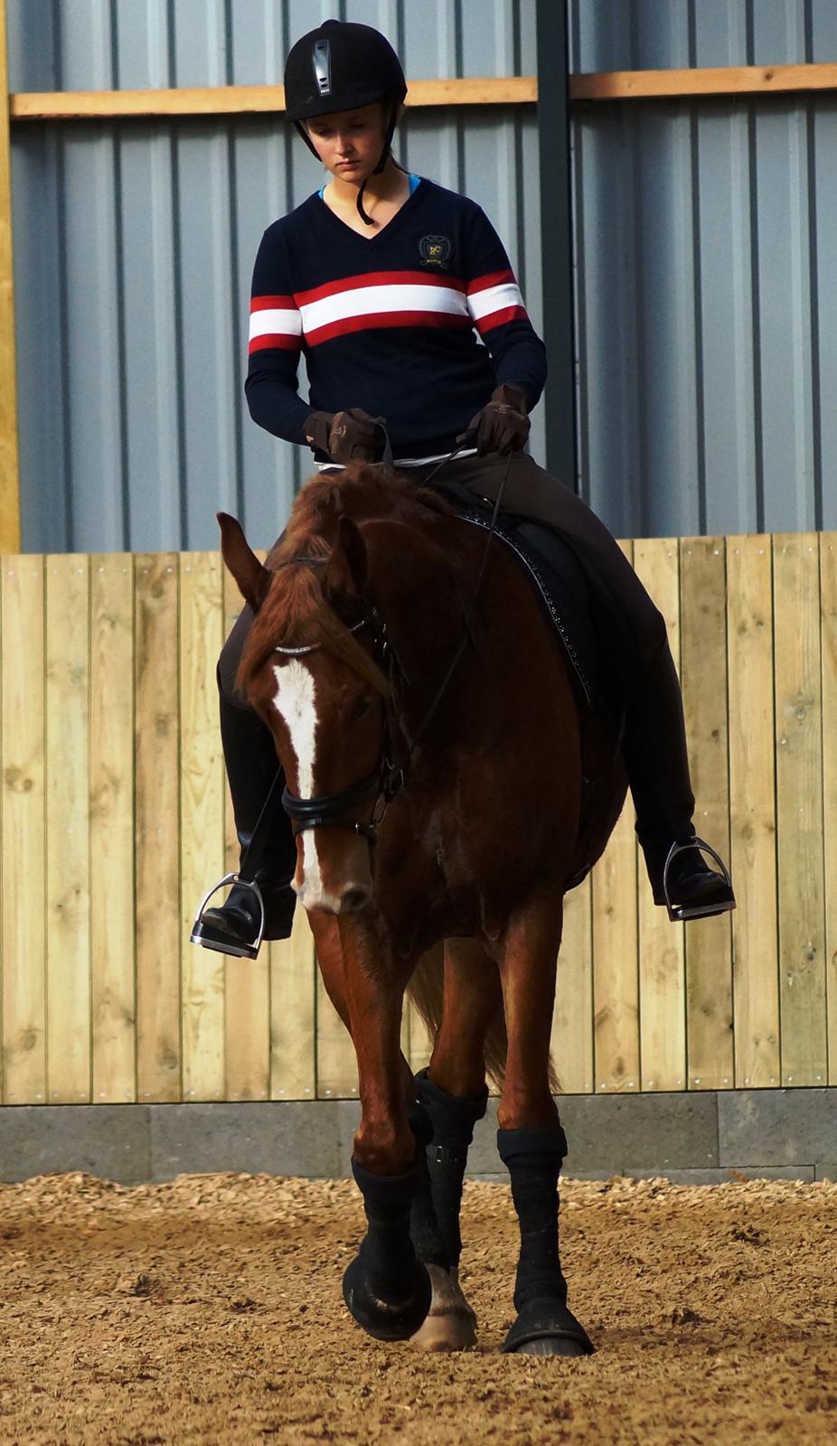 Frederiksborg Vejvads Chanel - 03.11.13 billede 13