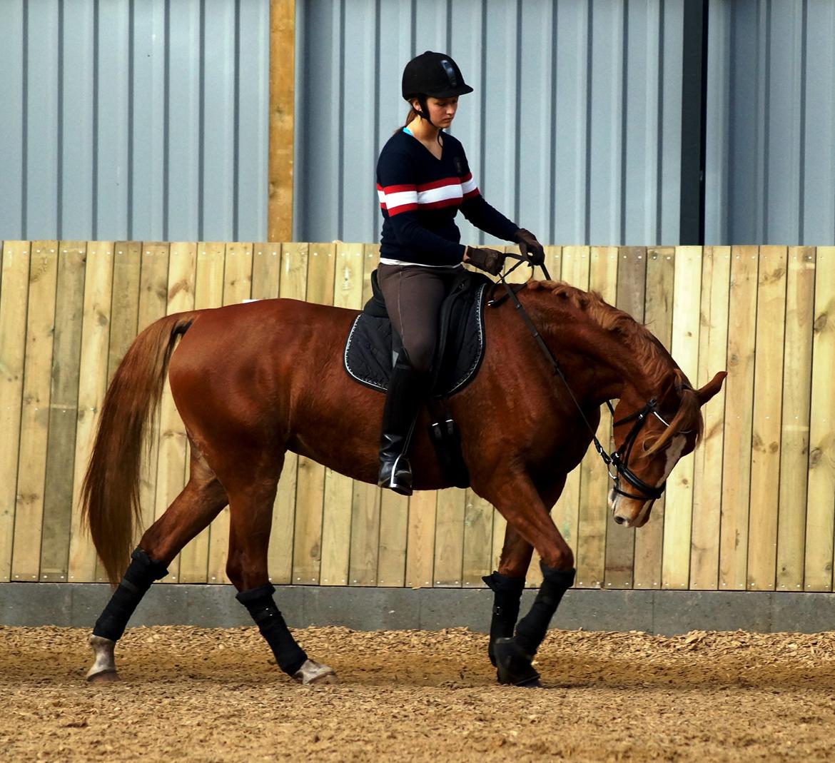 Frederiksborg Vejvads Chanel - 03.11.13 billede 9