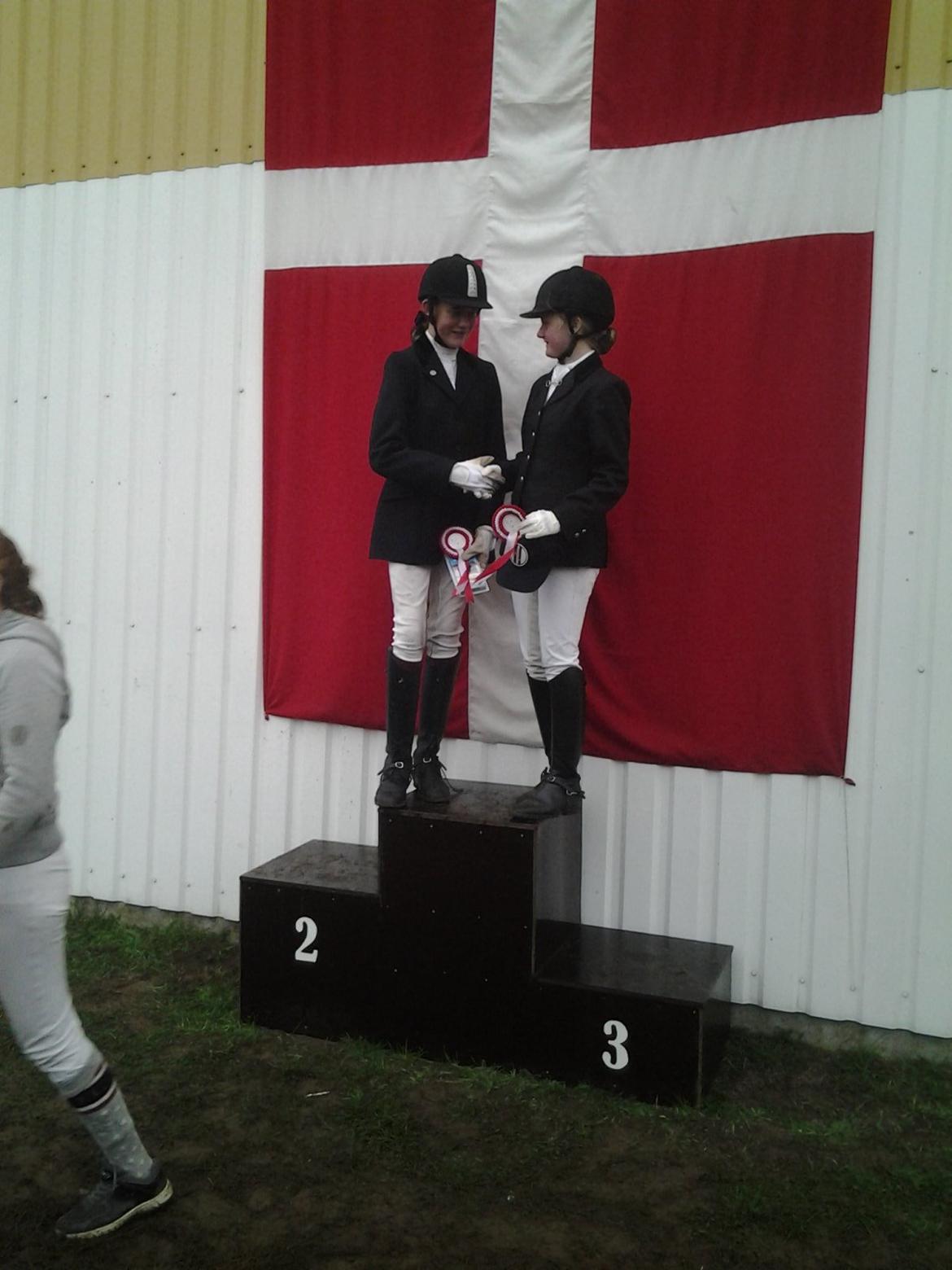 DSP Dalto af silkebakken billede 4