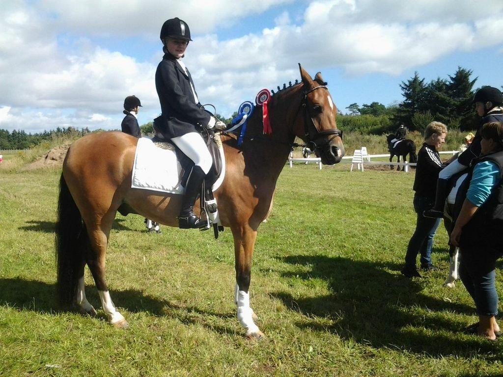 DSP Dalto af silkebakken billede 5