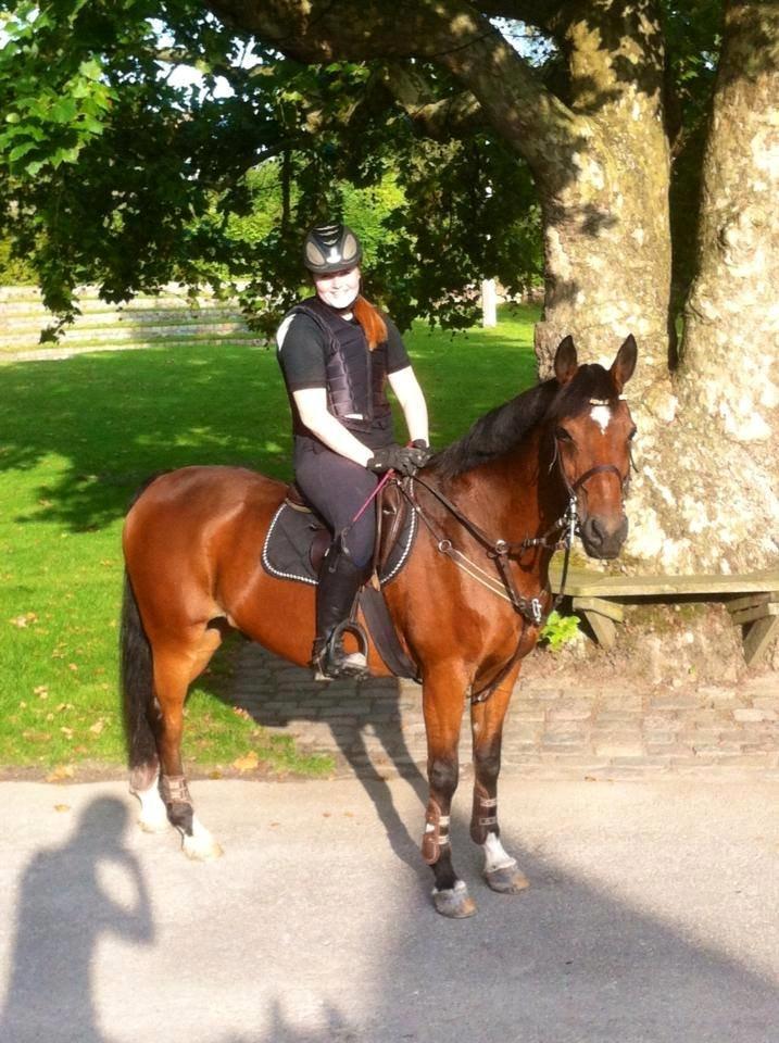 Irsk Sportspony Carlton Flight [Himmelhest] - Brøderup Ungdomsskole <3 billede 1