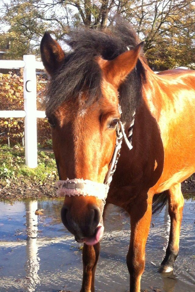 New Forest Annerups Delicious  {min baby} billede 4