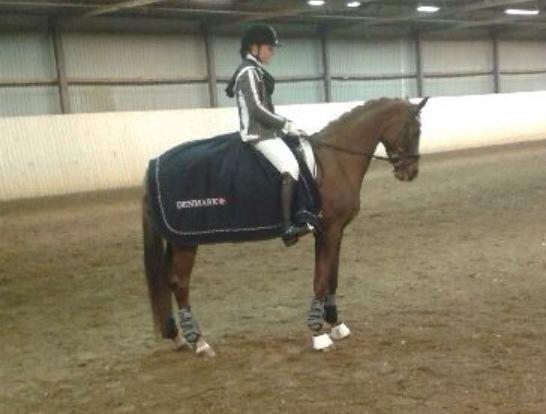 DSP Toftlunds Prins-chi billede 9