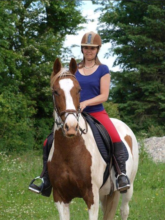 Pinto Son of the Indian sun billede 5