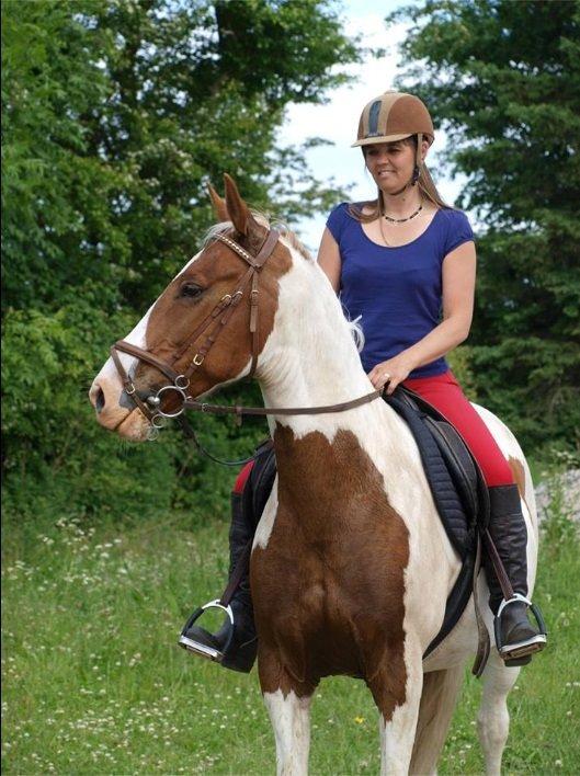 Pinto Son of the Indian sun billede 6