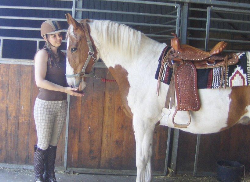 Pinto Son of the Indian sun billede 9