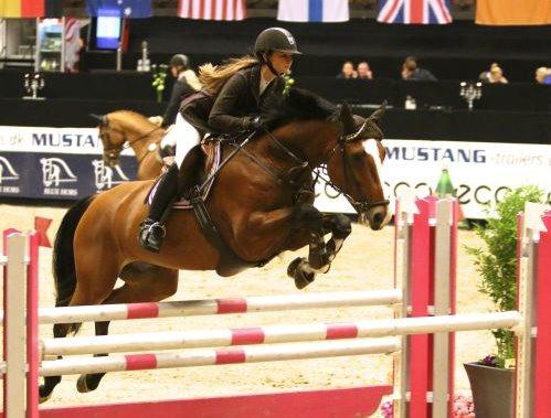 Dansk Varmblod Wilma - JBK horse show, første internationale stævne, med 2 placeringer ud af 3 klasser!! Hun er fantastisk! <3 billede 17