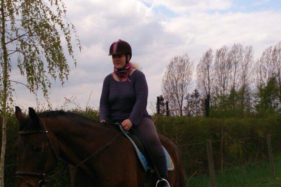 Dansk Varmblod Don Juan billede 10