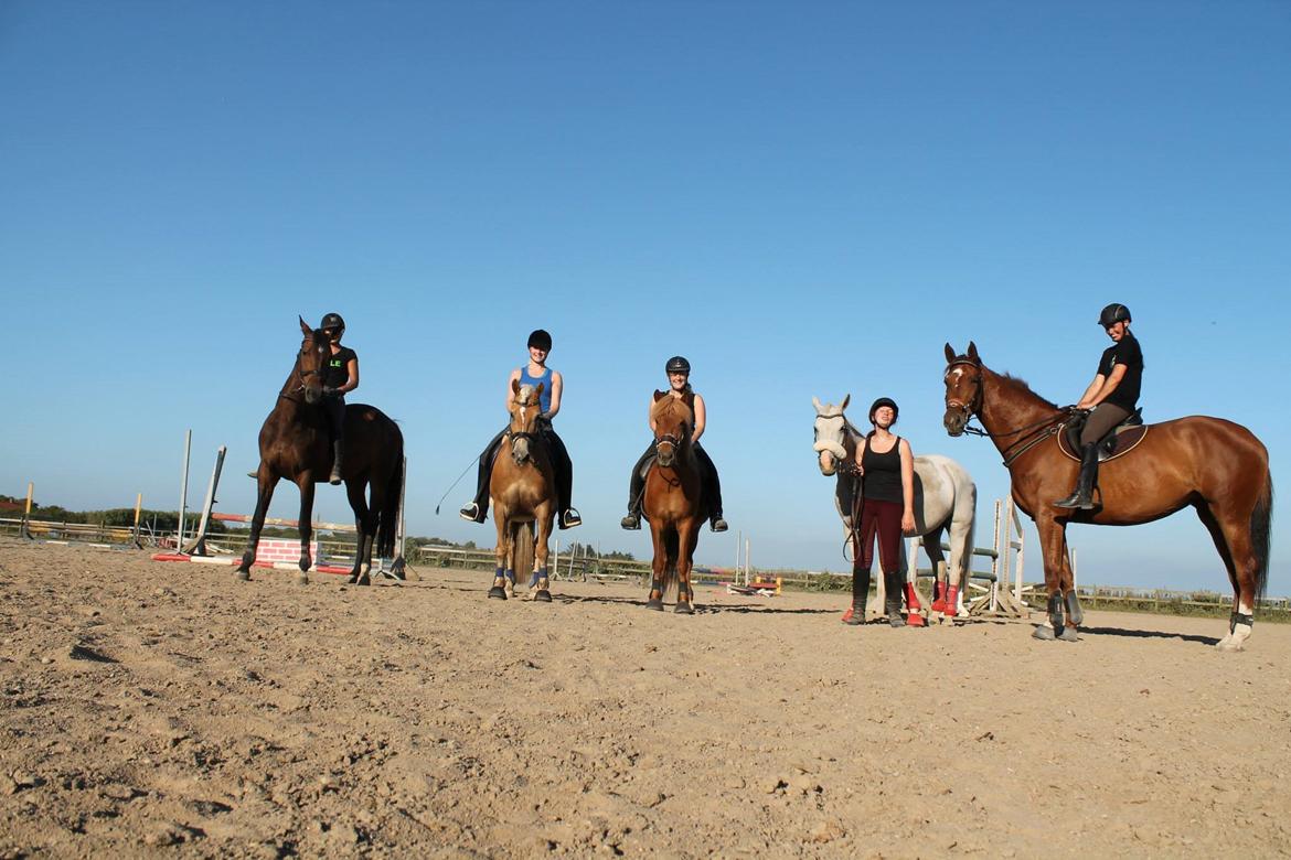 Dansk Varmblod Ça va? - 5 af ponyklubbens 6 medlemmer :)  billede 23