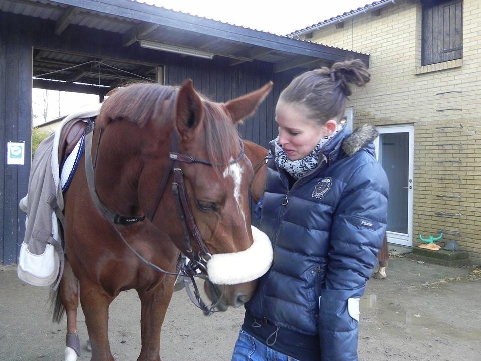 Dansk Varmblod Ça va? - Lommerne undersøges for guf... billede 27
